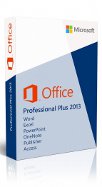 Microsoft Office Professional Plus Microsoft Office Professional Plus