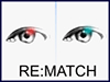 RE:Vision Effects RE:Match