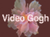 RE:Vision Effects Video Gogh