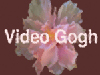 RE:Vision Effects Video Gogh RE:Vision Effects Video Gogh