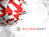 POLIGONSOFT POLIGONSOFT