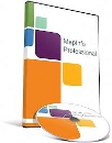 MapInfo Professional 2019