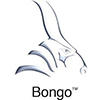 Bongo