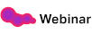 Webinar (    )